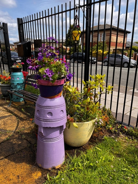 Pakistan Association Liverpool Wellbeing Garden